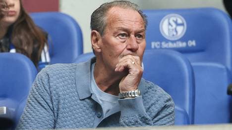 Stevens verfolgte die Schalker zuletzt auf der Tribüne