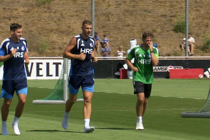 "Symbolfigur": Darum ist der Dzeko-Transfer für Schalke so wichtig