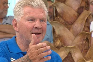 WM-Skandal: Effenberg spricht von "Korruption"