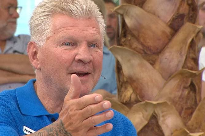 WM-Skandal: Effenberg spricht von "Korruption"