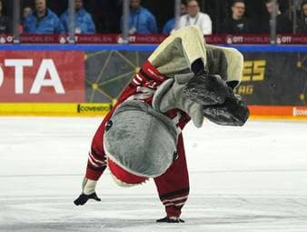 Eishockey: Trotzen die Eisbären erneut dem Orakel?