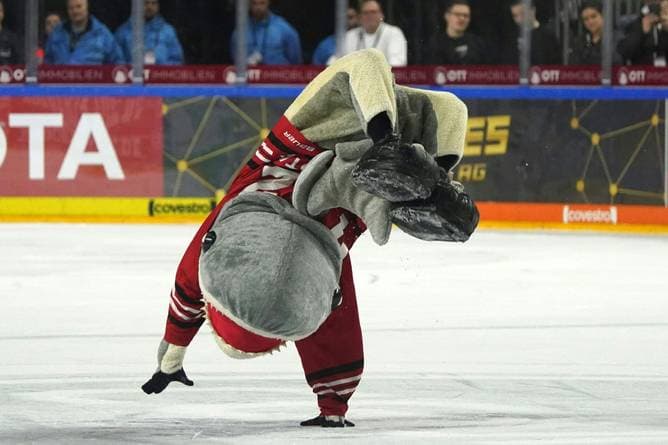 Eishockey: Trotzen die Eisbären erneut dem Orakel?