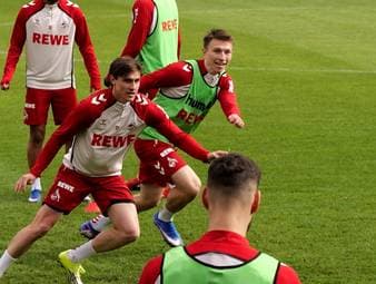 Der 1. FC Köln steht vor dem Duell gegen Lokalrivalen Bayer Leverkusen vor richtungsweisenden Wochen. Der Klassenerhalt ist immer noch nicht gesichert, sodass ein Sieg in den letzten vier Ligaspielen Pflicht ist.