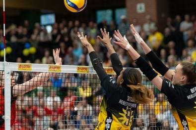 Frauen-Bundesliga findet Namenssponsor