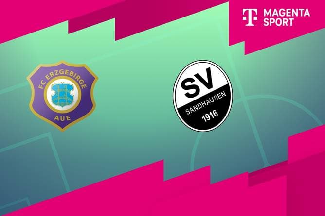 FC Erzgebirge Aue - SV Sandhausen (Highlights)