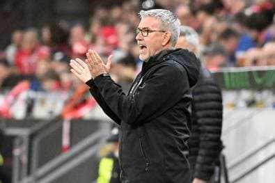 Fischer sieht keine Gefahr: "Mannschaft ist sehr bodenständig"