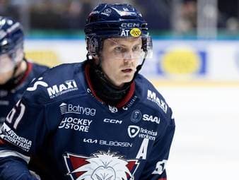 Kölner Haie verpflichten neuen Stürmer