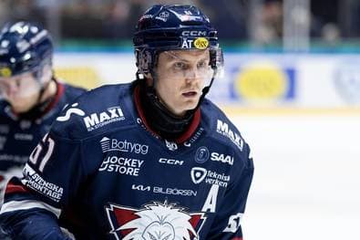 Kölner Haie verpflichten neuen Stürmer