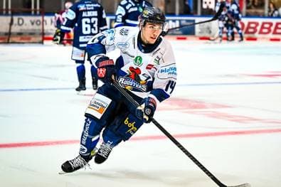 Neuzugang für die Eisbären Berlin