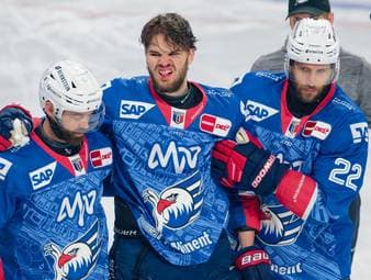 Harter Final-Rückschlag für Mannheim