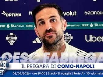 Cesc Fabregas zeigt sich begeistert vom Champions-League-Duell zwischen dem FC Bayern und Paris Saint-Germain. Der Como-Trainer spricht von einem "echten Genuss" für Fußballfans trotz Kritik an der fehlenden kollektiven Taktik auf beiden Seiten.