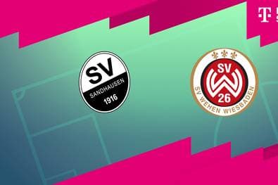 SV Sandhausen - SV Wehen Wiesbaden (Highlights)
