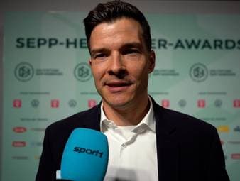 Bundesliga-Schiedsrichter Harm Osmers äußert sich zur wachsenden Kritik am VAR. Auch zur Entwicklung des deutschen Schiedsrichter-Wesens gibt er Einblicke.