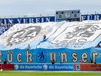 Das ist das neue alte Logo der Löwen