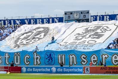Das ist das neue alte Logo der Löwen