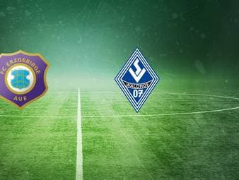 Erzgebirge Aue - SV Waldhof Mannheim: Tore und Highlights | 3. Liga