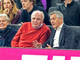 Hoeneß? "Weil ihr ihn permanent gefragt habt"