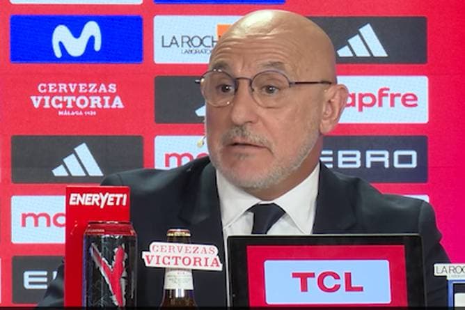 Kein Real-Spieler im WM-Kader! So erklärt's der Spanien-Coach