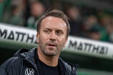 Wölfe-Beben geht weiter!