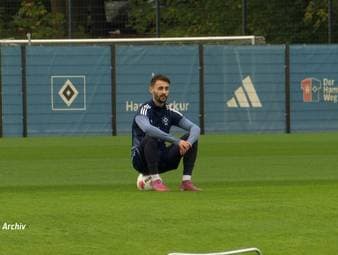Der Hamburger SV wünscht sich die Rückkehr von Fabio Viera. Obwohl der Mittelfeldspieler zu teuer für die Rothosen ist, nähert man sich mit dem FC Arsenal an.