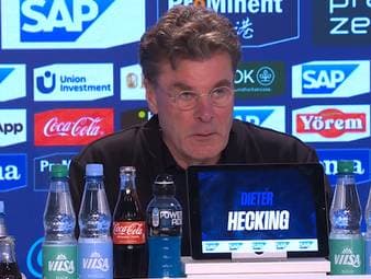 Dieter Hecking soll den VfL Wolfsburg in der Bundesliga halten. In seinem ersten Spiel holt der Trainer-Routinier direkt ein Remis gegen den Champions-League-Aspiranten Hoffenheim. 