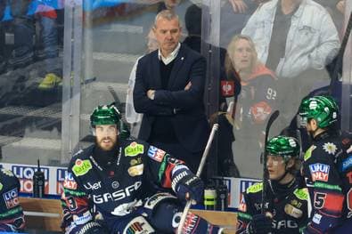 DEL-Finale: Berlin will Titel klarmachen
