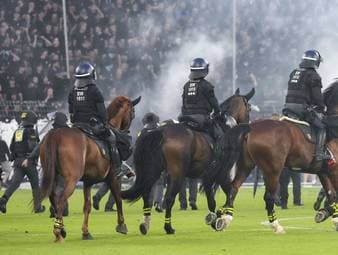 Pokal-Krawall: Tierschützer ziehen vor Gericht
