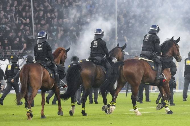 Pokal-Krawall: Tierschützer ziehen vor Gericht