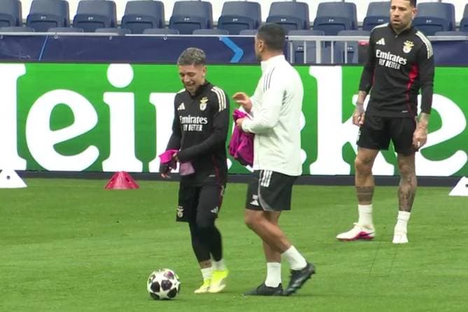 Benfica-Profi gesperrt: Diese Trainingsbilder bergen Brisanz