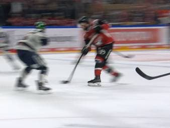 Spannung pur in Spiel 4 des Halbfinals zwischen den Kölner Haien und den Eisbären Berlin. Am Ende muss die Entscheidung in der Overtime her.