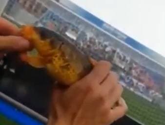 Sassuolo-Fan fängt Fisch - während des Spiels!