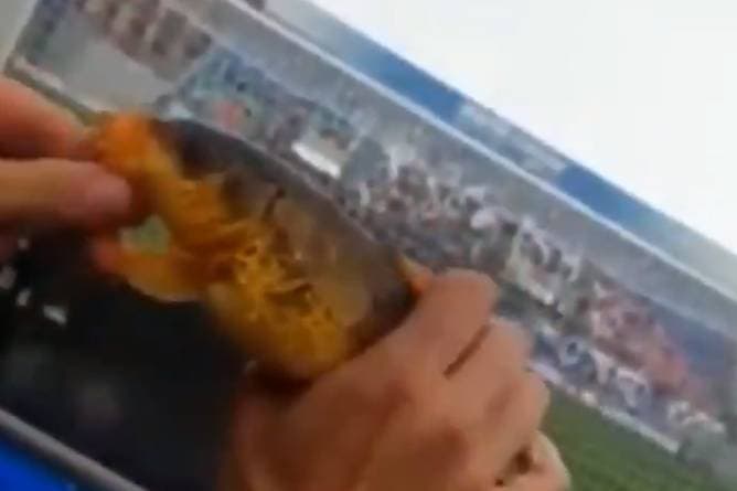 Sassuolo-Fan fängt Fisch - während des Spiels!