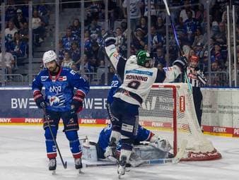 Die Eisbären sind erneut Meister!
