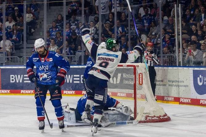 Die Eisbären sind erneut Meister!