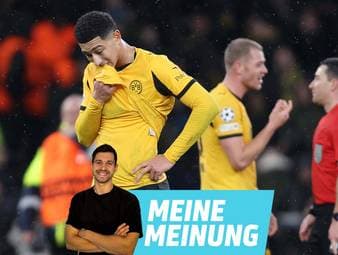 Dieser Totalausfall bereitet große Sorgen