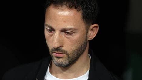 Domenico Tedesco ist nicht mehr Trainer von Fenerbahce Istanbul