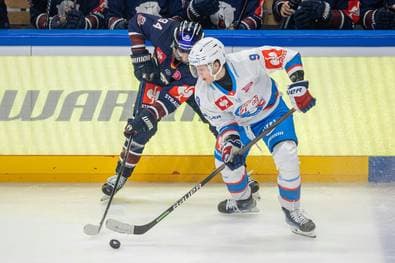 Aus droht! Eisbären verspielen 3:0