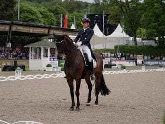Die Highlights der diesjährigen LONGINES BALVE OPTIMUM, Spring- & Dressurreiten deutschen Meisterschaft. 