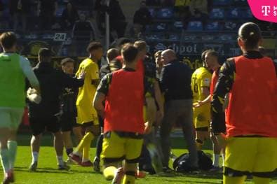 "Wilde Nummer" - Experte mitten in Rudelbildung