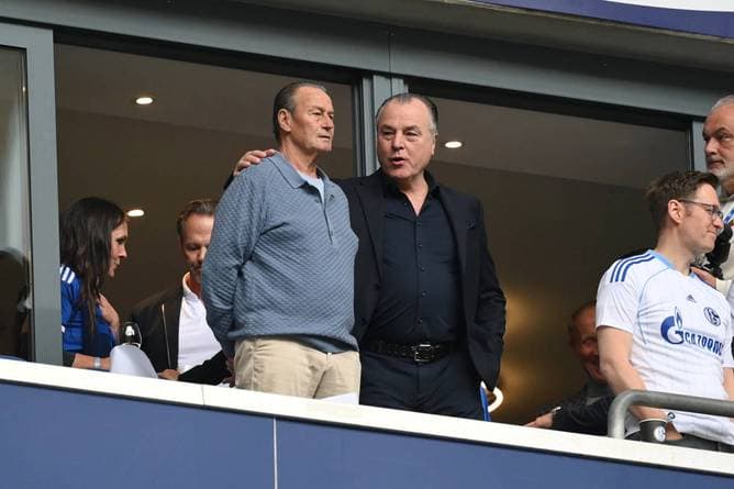 Schalke-Knall: Stevens bezieht Stellung