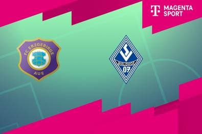 FC Erzgebirge Aue - SV Waldhof Mannheim (Highlights)