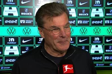 Verleiht ein Konkurrent den Wölfen neues Leben?