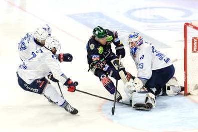 Werden die Eisbären heute Meister?