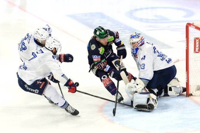 Werden die Eisbären heute Meister?